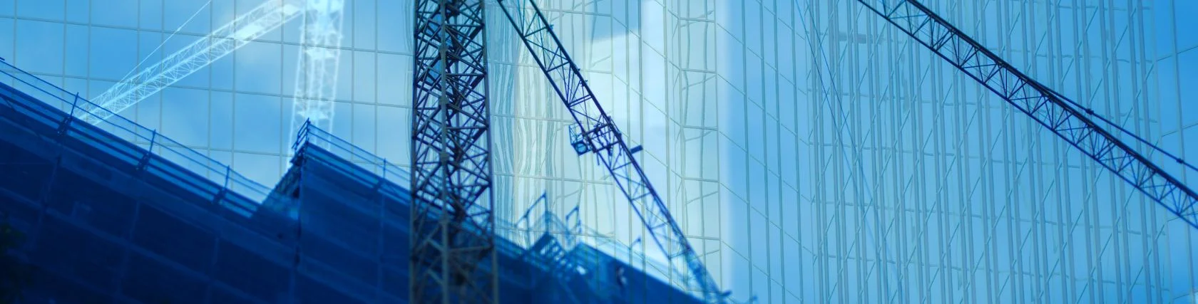 grue-fenêtre
